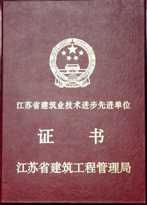省建筑業(yè)技術(shù)進步證書
